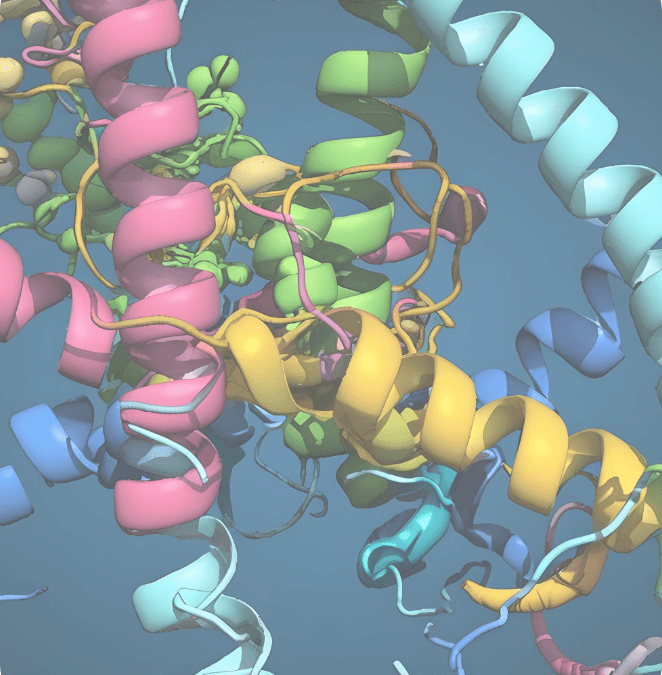 Biosolving Articoli Scientifici Articolo 13 img