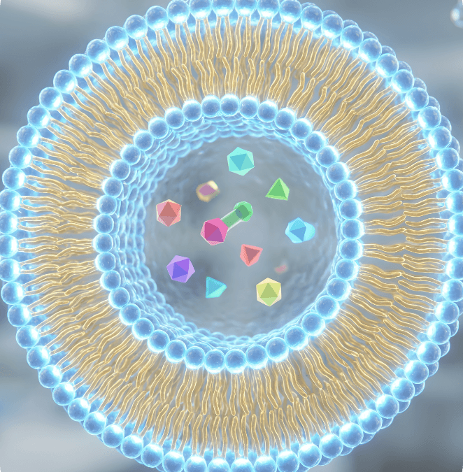 Biosolving Articoli Scientifici Articolo 18 img