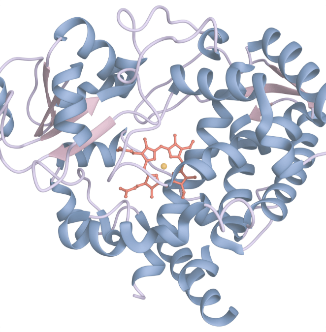 Biosolving Articoli Scientifici Articolo 1 img