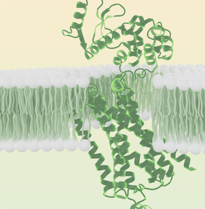 Biosolving Articoli Scientifici Articolo 23 img