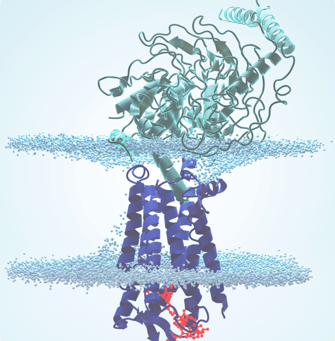 Biosolving Articoli Scientifici Articolo 6 img